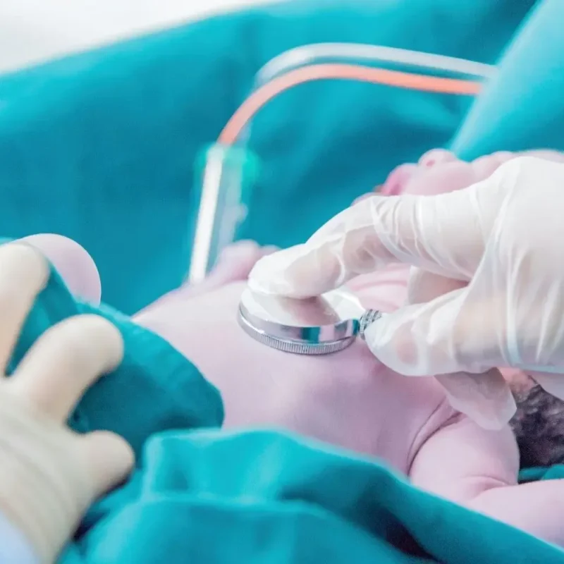 01K82ZB1S2V1GB1G0B8EA1FAQ4